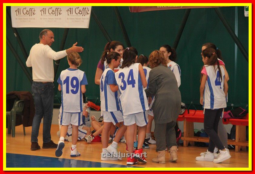 140301 GM_basket 185_tn.jpg